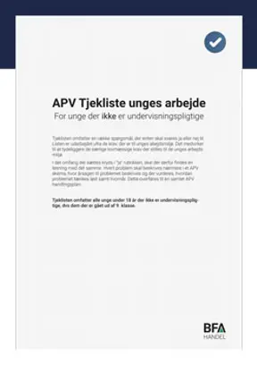 APV-tjekliste for unge ikke-undervisningspligtige