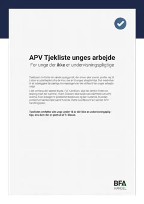 APV-tjekliste for unge ikke-undervisningspligtige