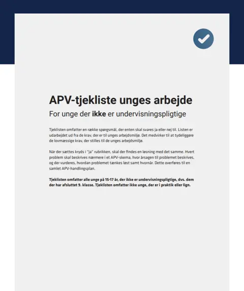 APV-tjekliste for unge ikke-undervisningspligtige